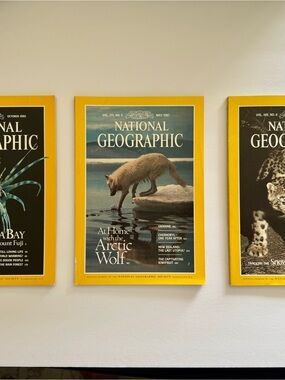 3 National Geographic Yellow-Framed Arctic Wolf Cover Art
